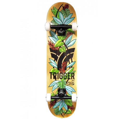 TRIGGER Skateboard Complet EDEN 8.0